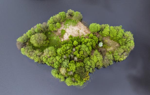 Eine kleine, bewaldete Insel liegt in einem dunklen See.