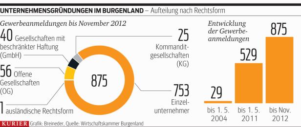 Illegale Beschäftigung als Problem