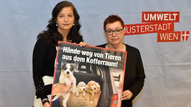 Der Hunde-Mafia auf der Spur