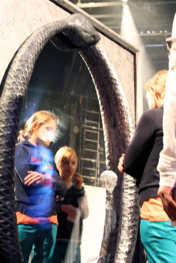 Zwei Mädchen stehen vor einem Spiegel, dessen Rahmen eine Schlange bildet.