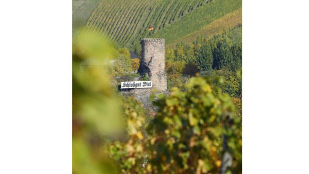 Der Aussichtsturm Schlossgut Biel mit deutscher Flagge vor Weinbergen.