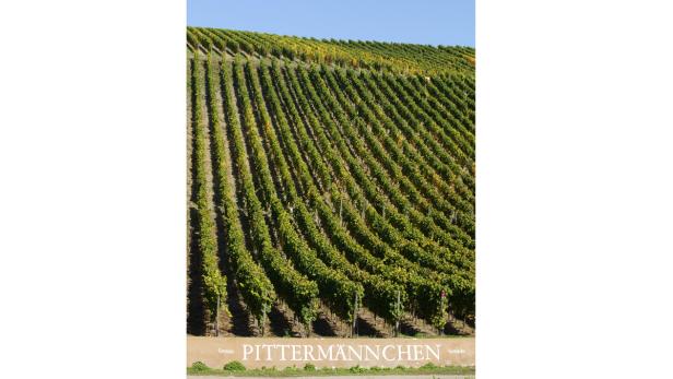 Blick auf die Weinterrassen des „Grosses Pittermännchen“ Weinbergs.