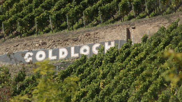 Der Weinberg Goldloch in Deutschland mit dem Schriftzug am Hang.