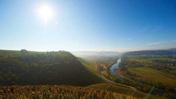 Blick über eine hügelige Landschaft mit Weinbergen und einem Fluss unter blauem Himmel.