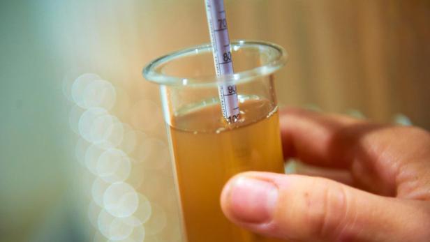 Ein Hydrometer misst den Zuckergehalt in einer bernsteinfarbenen Flüssigkeit, die in einem Glaszylinder enthalten ist.