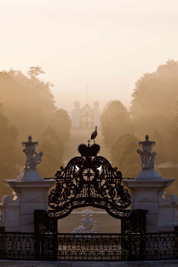 Ein Storch steht auf einem verzierten Tor im Schlosspark Schönbrunn im Nebel.