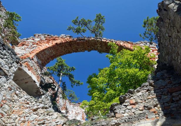 Die Ruine einer alten Burg mit einem gemauerten Torbogen und Bäumen im blauen Himmel.