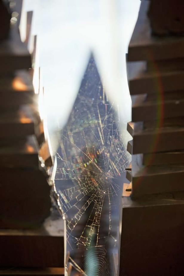 Bilder aus "Art for Peace" von Lois Lammerhuber