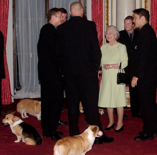 Queen Elizabeths Hunde leben königlich