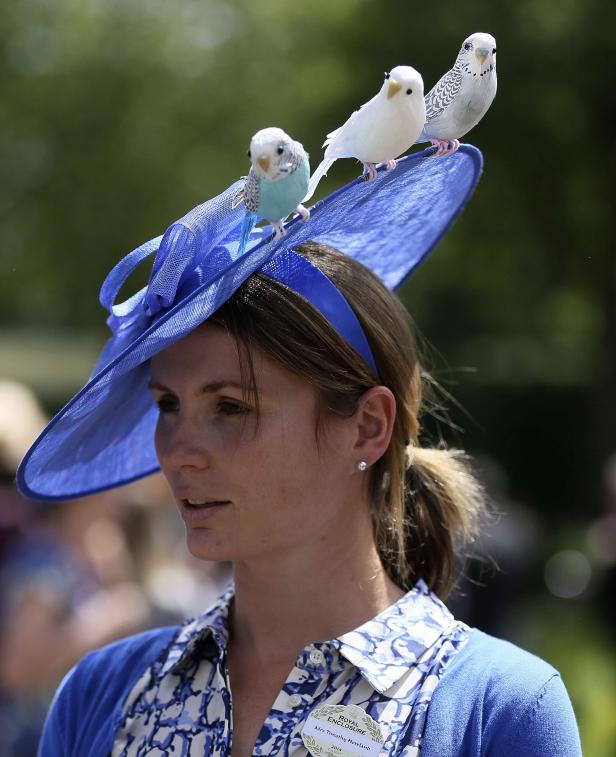 Schrill & schriller: Der Ascot-Hut-Ticker