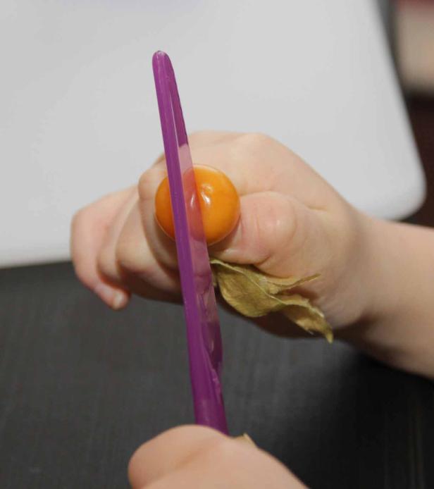 Eine Hand schneidet eine Physalis mit einem lila Messer.