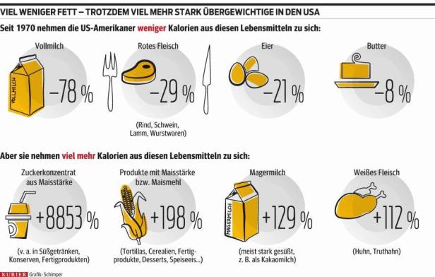 Fett ist der falsche Feind