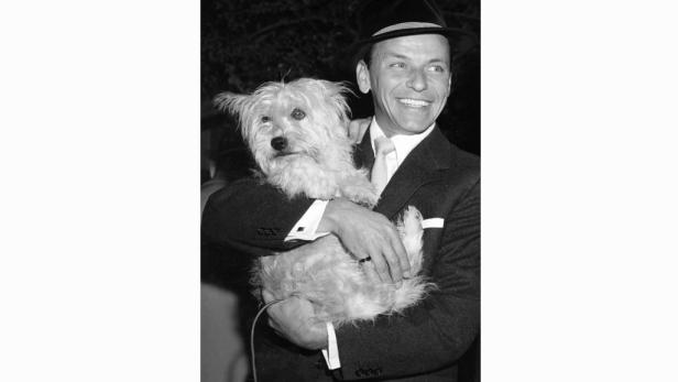 Prominenz im Wandel: Frank Sinatra & Co.
