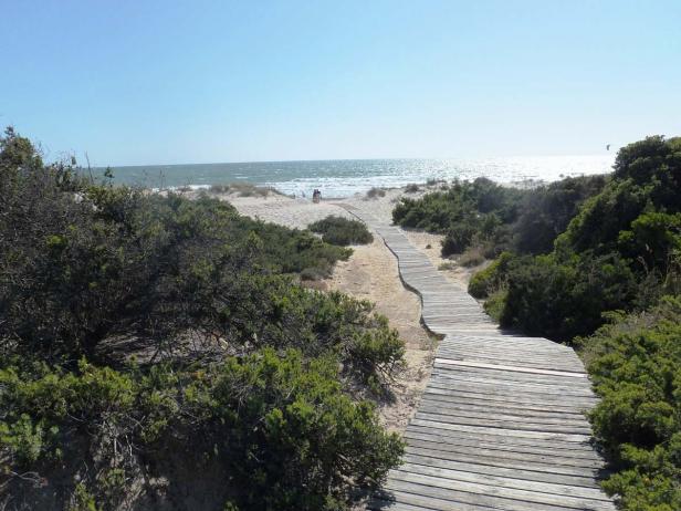 Ein Holzsteg führt durch Dünen zum Strand und Meer.