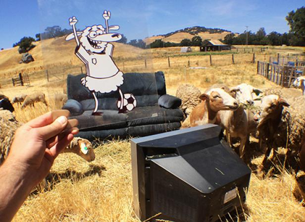 Hombre_Mcsteez: "Aug(De)Mented Reality"