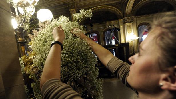 Opernball 2016: Die Verwandlung der Staatsoper in Bildern