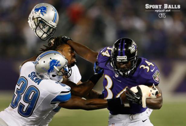 Ein Footballspieler der Baltimore Ravens hält eine Katze, während er von Spielern der Detroit Lions angegriffen wird.