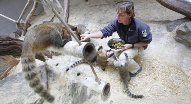 „Ein Tag ohne Tiere ist ein Horror“