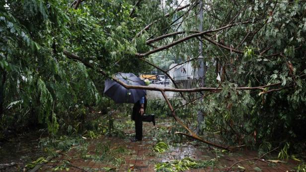 Eine Person mit Regenschirm steht auf einem von Ästen und Blättern bedeckten Weg.