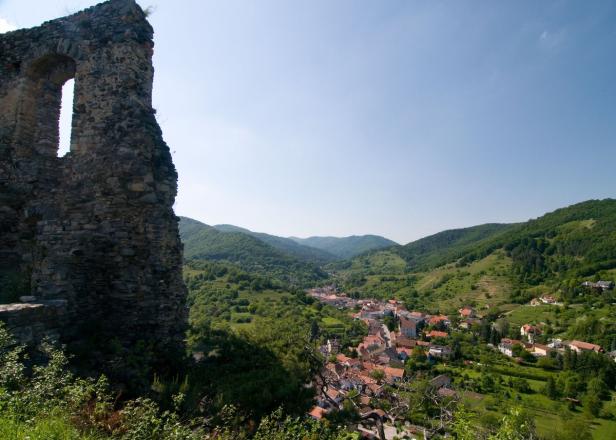 22 Fledermausarten im Kremstal