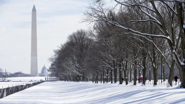 Der Washingtoner Obelisk und das Kapitol im Winter, gesehen durch eine Reihe schneebedeckter Bäume.
