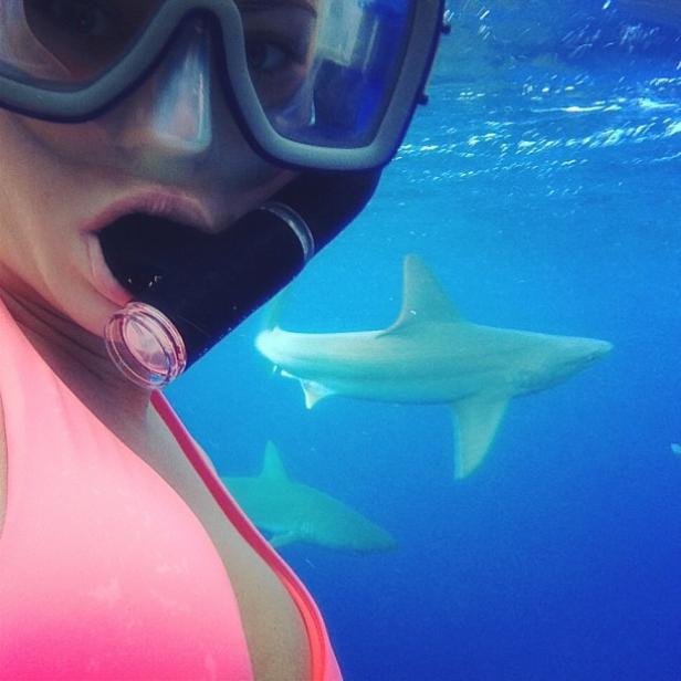 Eine Frau schnorchelt mit Haien im tiefblauen Wasser.