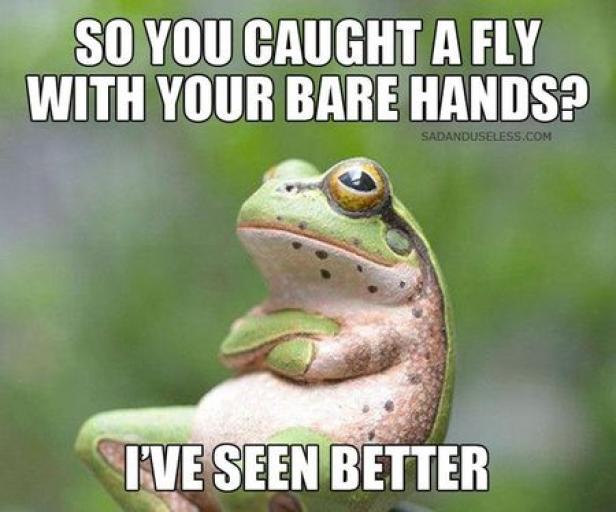 Ein grüner Frosch sitzt mit verschränkten Armen und blickt missbilligend.