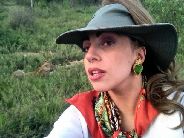 Lady Gaga geht auf Safari
