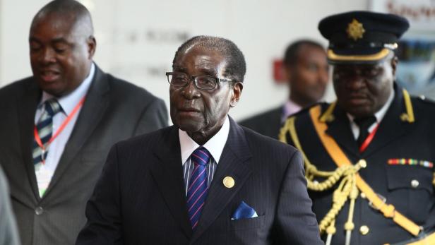 Mugabe will zum Geburtstag Elefanten schlachten