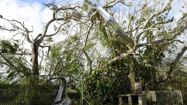 Ein Baum ist durch einen Sturm beschädigt, Trümmer liegen herum.