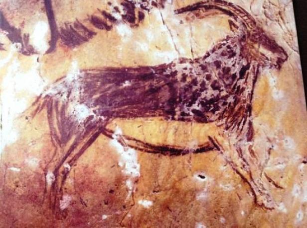 Eine Höhlenmalerei zeigt eine Ziege mit langen Hörnern.