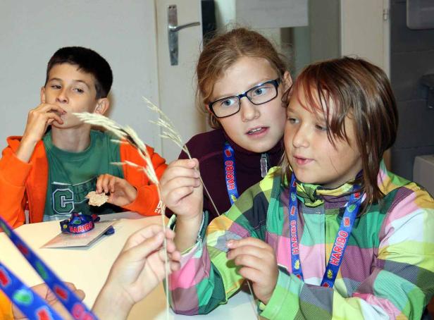 Drei Kinder sitzen an einem Tisch und betrachten ein Getreidehalm.