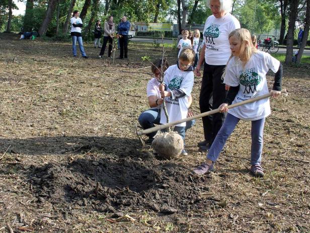Kinder pflanzten Bäume für Klimaschutz