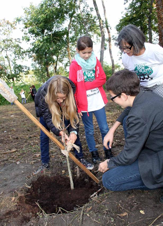 Eine Gruppe von Kindern und eine Frau pflanzen einen Baum im Wald.