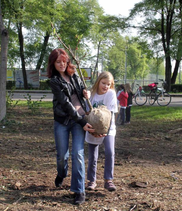 Zwei Mädchen tragen gemeinsam einen kleinen Baum zum Einpflanzen.