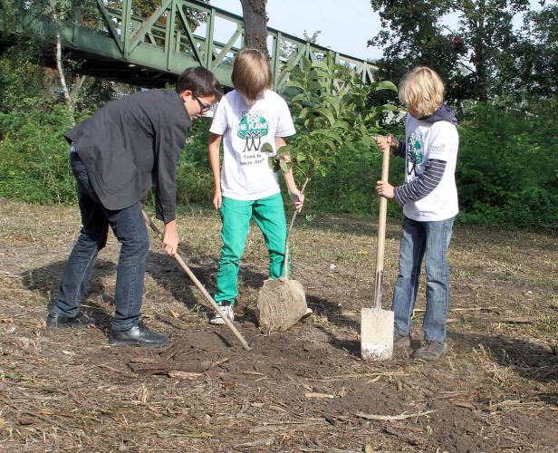 Drei Kinder pflanzen einen Baum im Rahmen einer Baumpflanzaktion.
