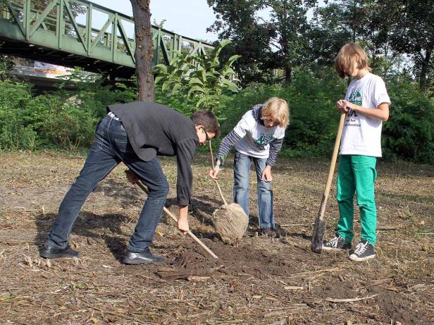 Drei Kinder pflanzen einen Baum in einem Park.