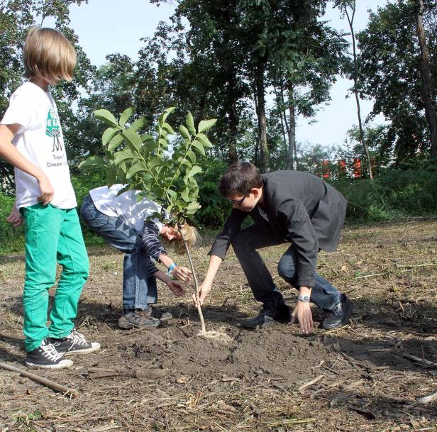 Drei Kinder pflanzen einen jungen Baum im Wald.