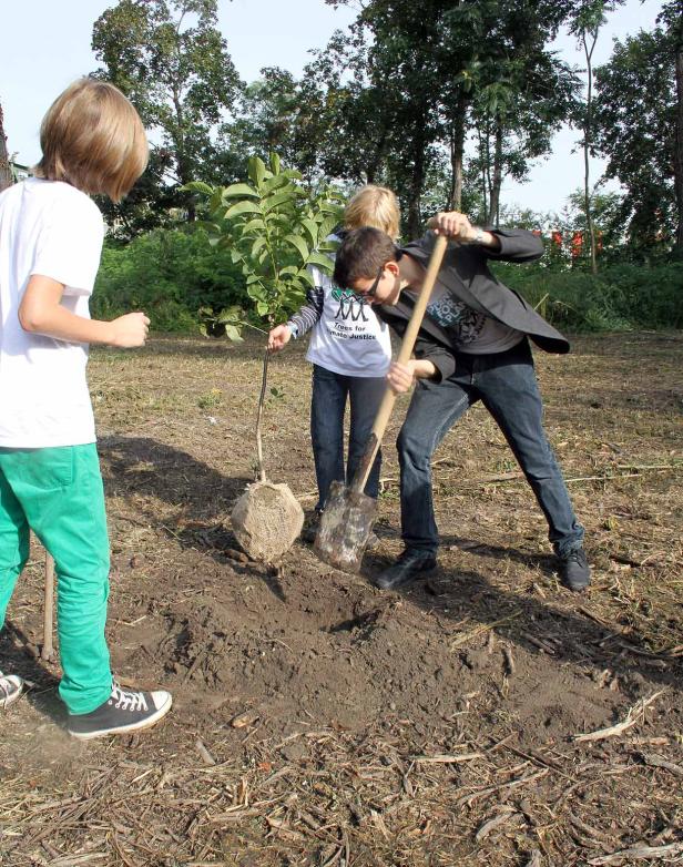 Drei Kinder pflanzen einen kleinen Baum im Freien.