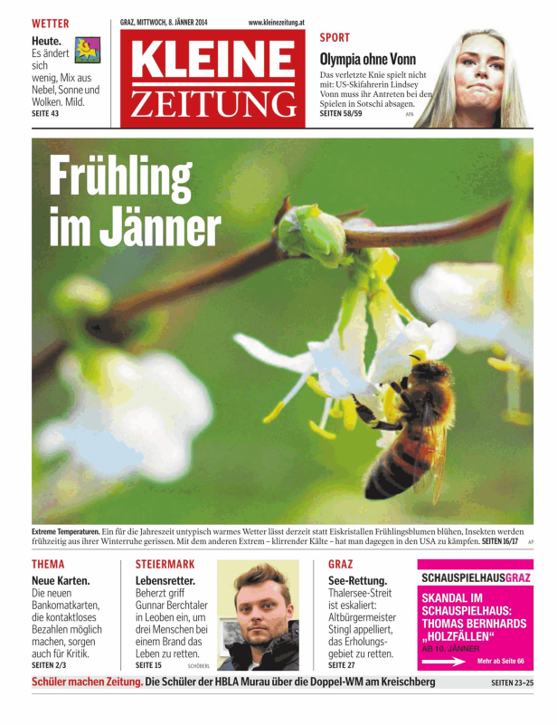 Eine Biene sammelt Nektar von einer blühenden Pflanze.