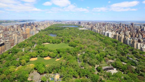 Luftaufnahme des Central Parks in New York City, umgeben von Wolkenkratzern.
