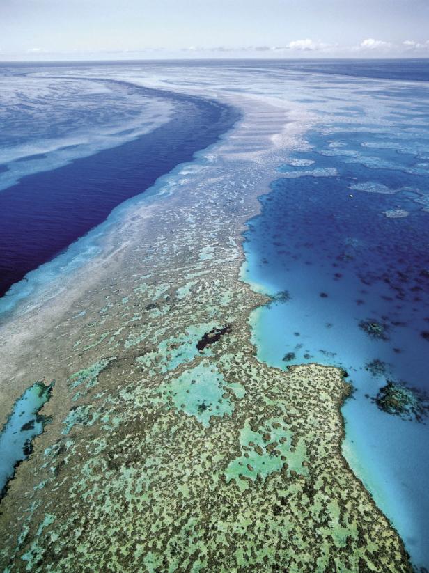 Luftaufnahme des Great Barrier Reef mit seinen vielfältigen Blautönen.