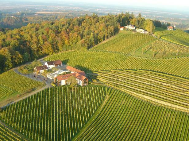 Weinschule, Folge 9: Das Südsteiermark-Weinpaket
