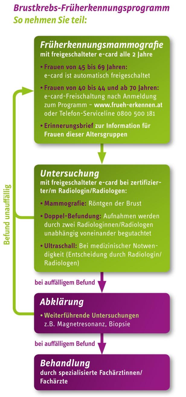 Ein Flussdiagramm, das das Brustkrebs-Früherkennungsprogramm beschreibt.