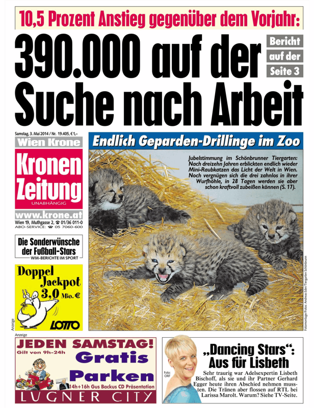 Drei Geparden-Babys liegen im Tiergarten Schönbrunn im Stroh.