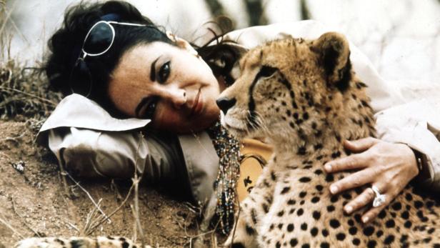 Elizabeth Taylor liegt mit einem Geparden im Gras.