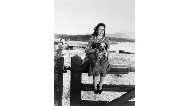 Eine junge Elizabeth Taylor sitzt auf einem Zaun und hält einen Hund.
