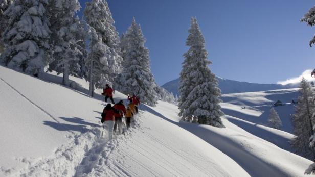 Schneeschuhwandern: Quer durch den Tiefschnee