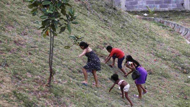 Vier Personen steigen einen grasbewachsenen Hügel hinauf.