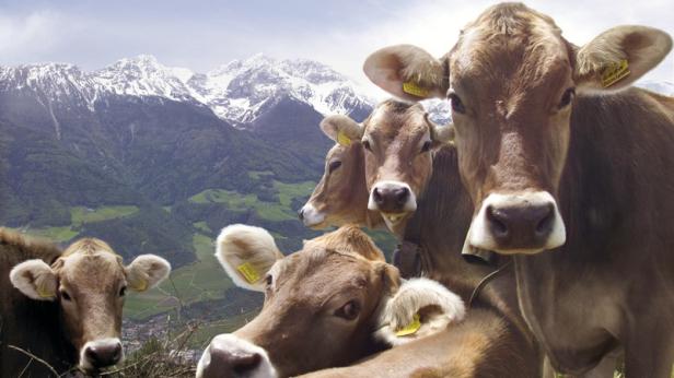 Südtirol - ein Land der Gegensätze